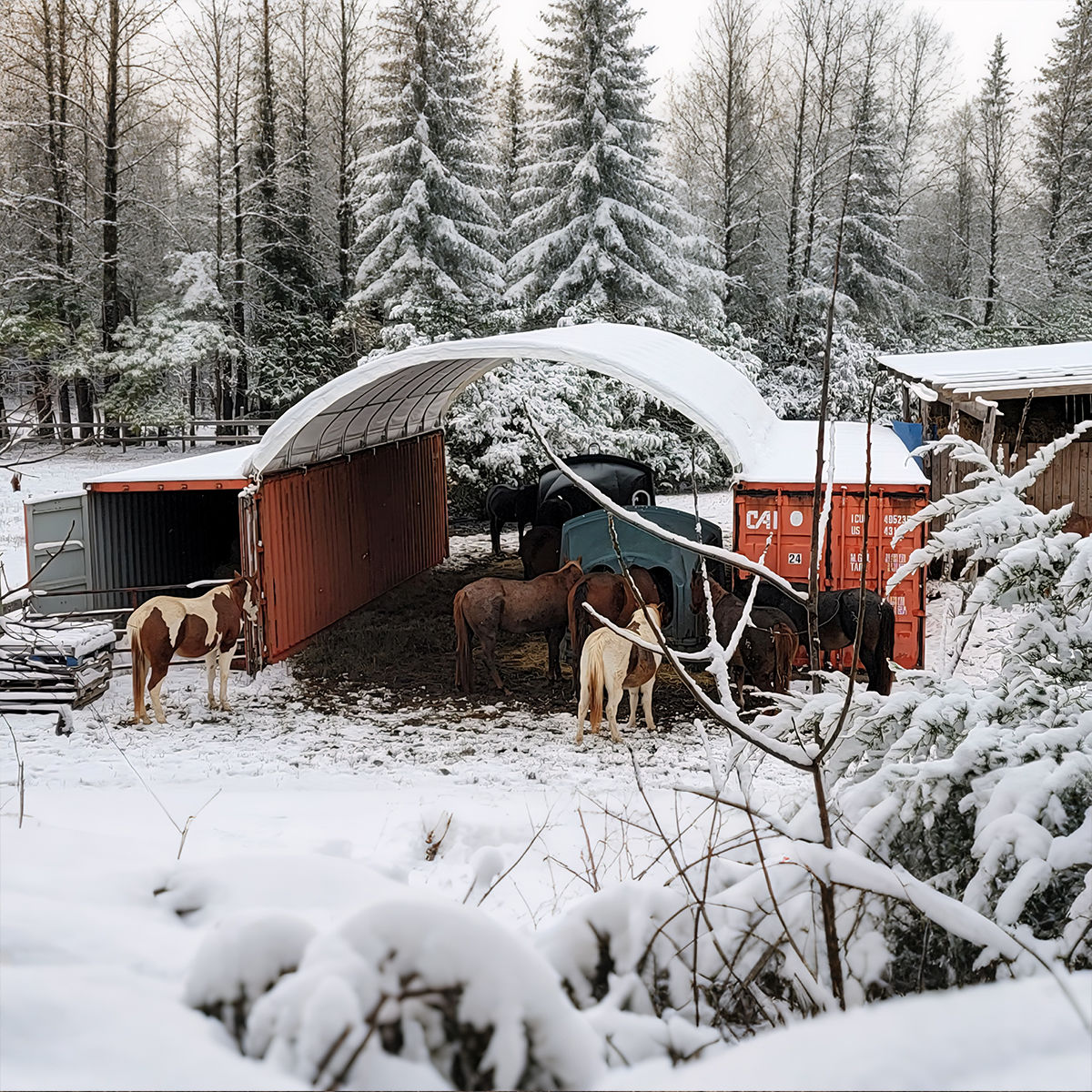 20'x40' container shelter customer pic